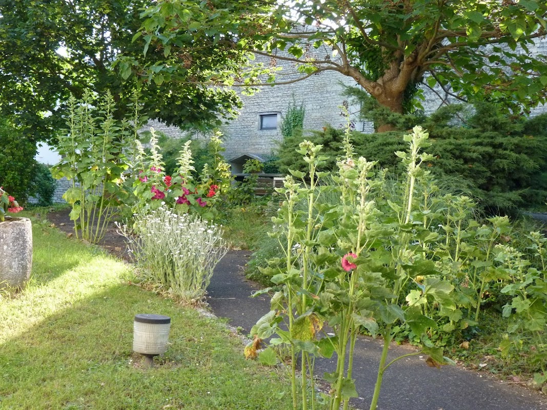 EHPAD - Résidence Sacré-Coeur - Photo 5 sur 5 - Environnement et extérieurs