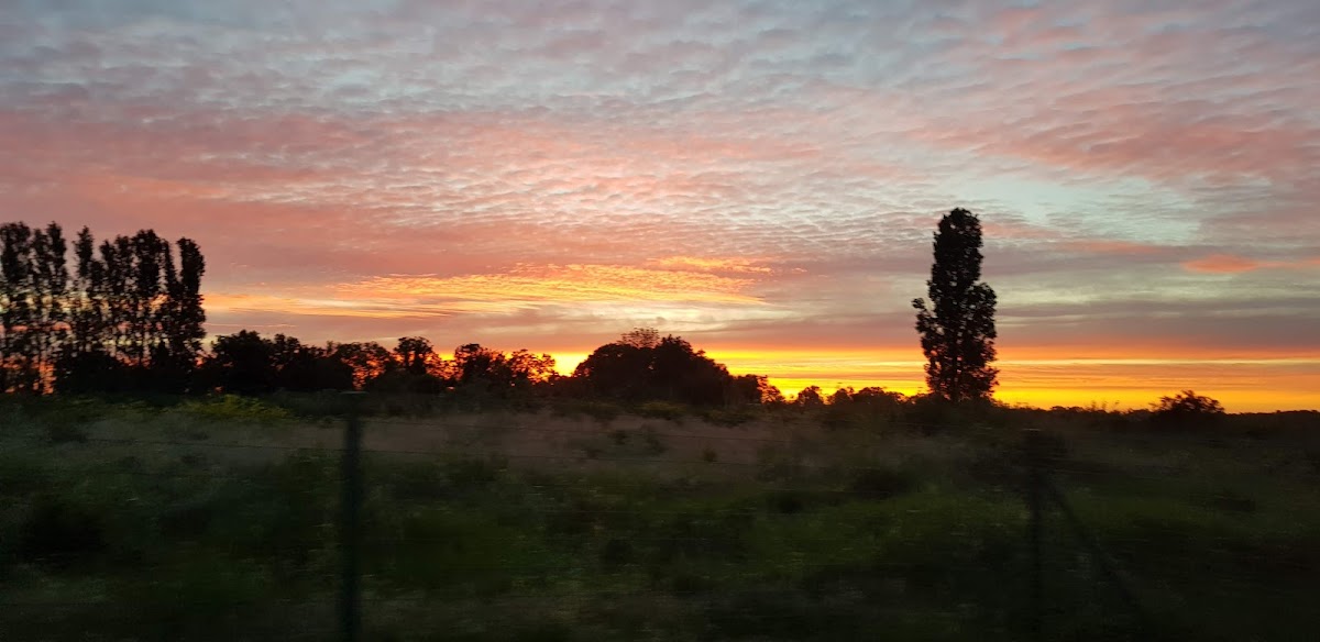 MR spécialisée - Résidence du marais de cristal - Photo 3 sur 3 - Chambres et hébergement