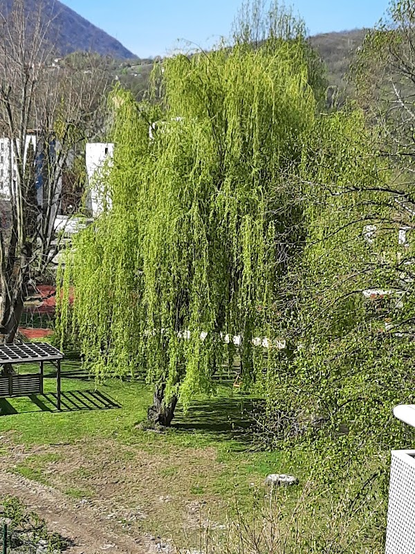 Foyer-Résidence - Photo 2 sur 3 - Intérieur et espaces communs