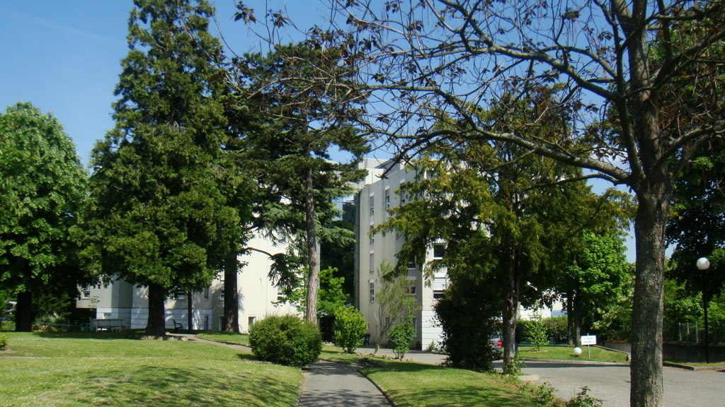 EHPAD Les amandines - Photo 5 sur 5 - Environnement et extérieurs