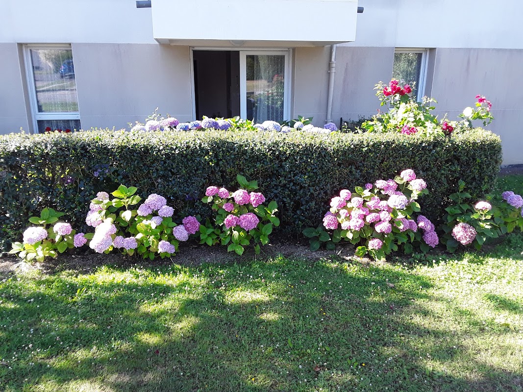 EHPAD Les Alleux - Photo 3 sur 5 - Chambres et hébergement