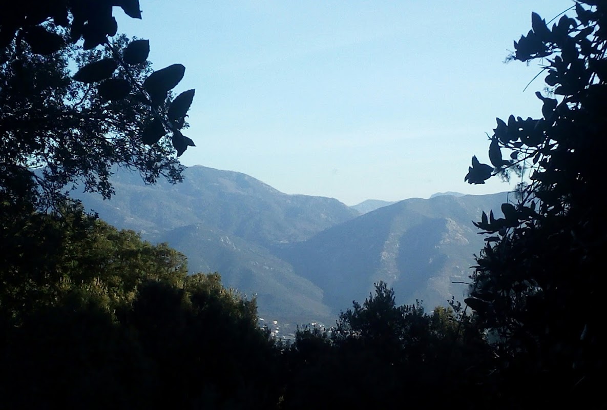 EHPAD Noël Sarrola - Photo 4 sur 5 - Espaces de vie