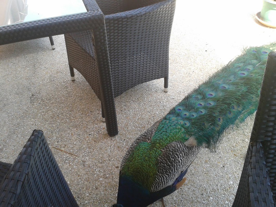 EHPAD Château la Fontaine aux Cossons - Photo 4 sur 5 - Espaces de vie