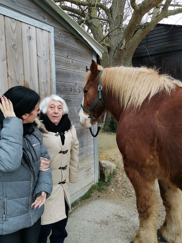 EHPAD Le Manoir - Photo 3 sur 5 - Chambres et hébergement
