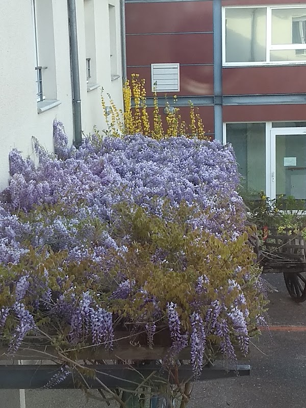 EHPAD Résidence d'Olt Cahors - Photo 2 sur 2 - Intérieur et espaces communs