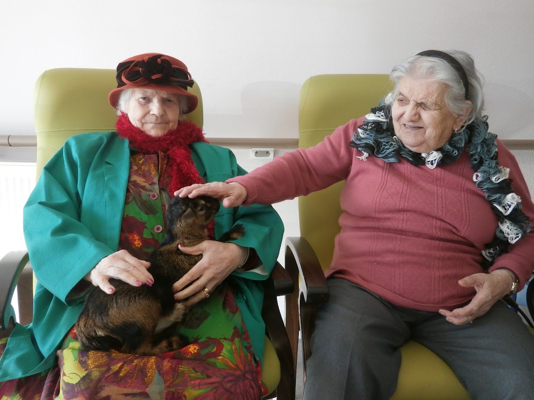 EHPAD Maison de retraite Cité Saint-Joseph Plaisance - Photo 2 sur 5 - Intérieur et espaces communs