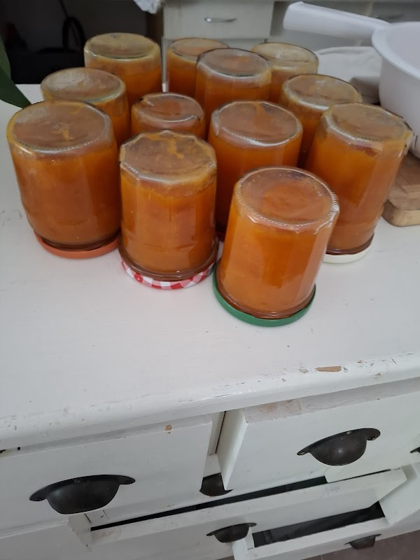 EHPAD Résidence Le domaine - Photo 5 sur 5 - Environnement et extérieurs