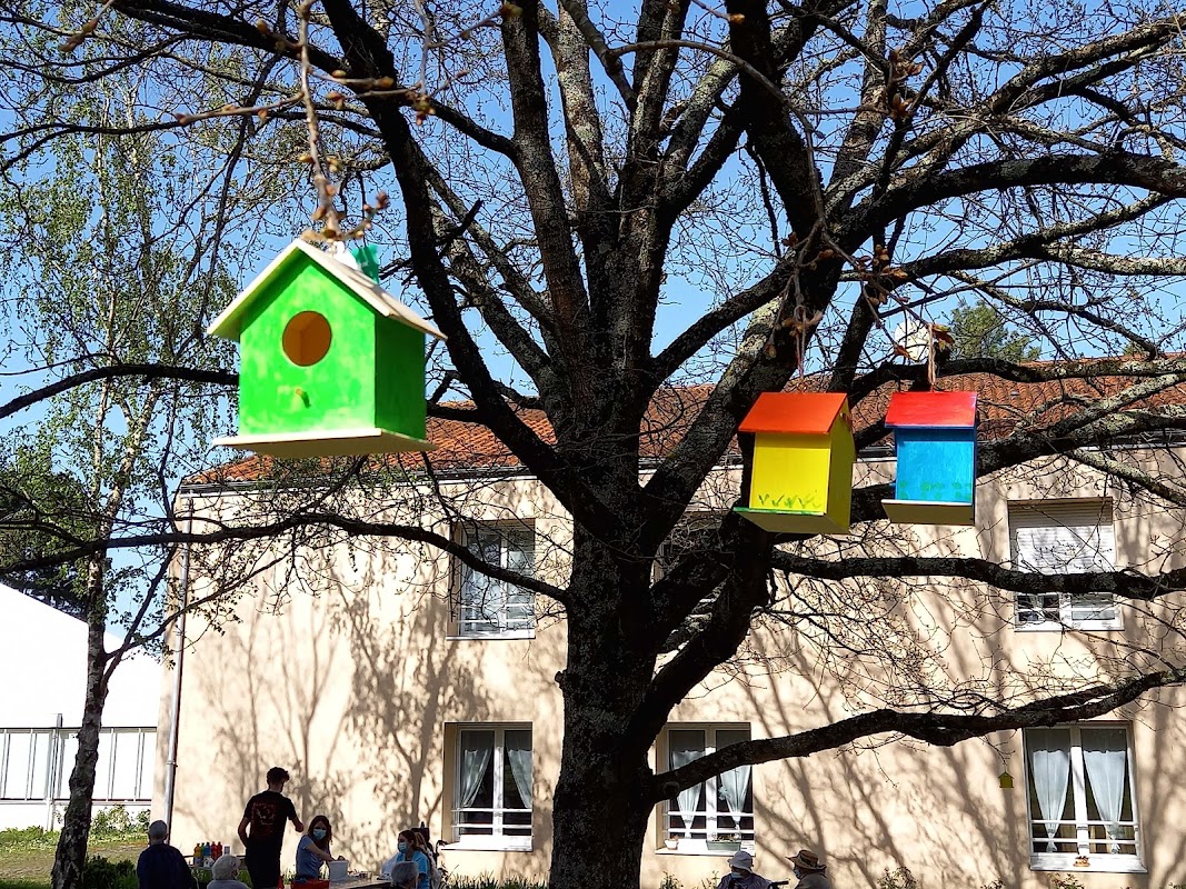 EHPAD Les Glénans - Photo 4 sur 5 - Espaces de vie