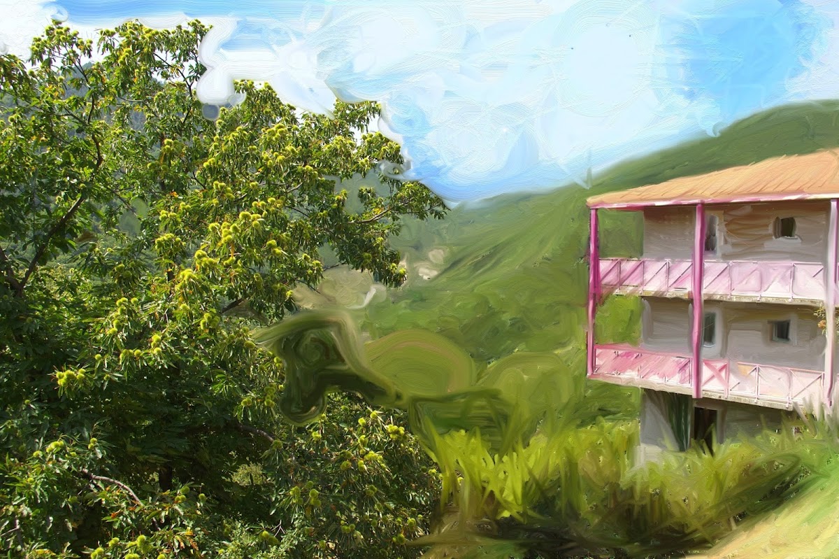 Photo de EHPAD Les Châtaigniers, EHPAD à ANTRAIGUES SUR VOLANE