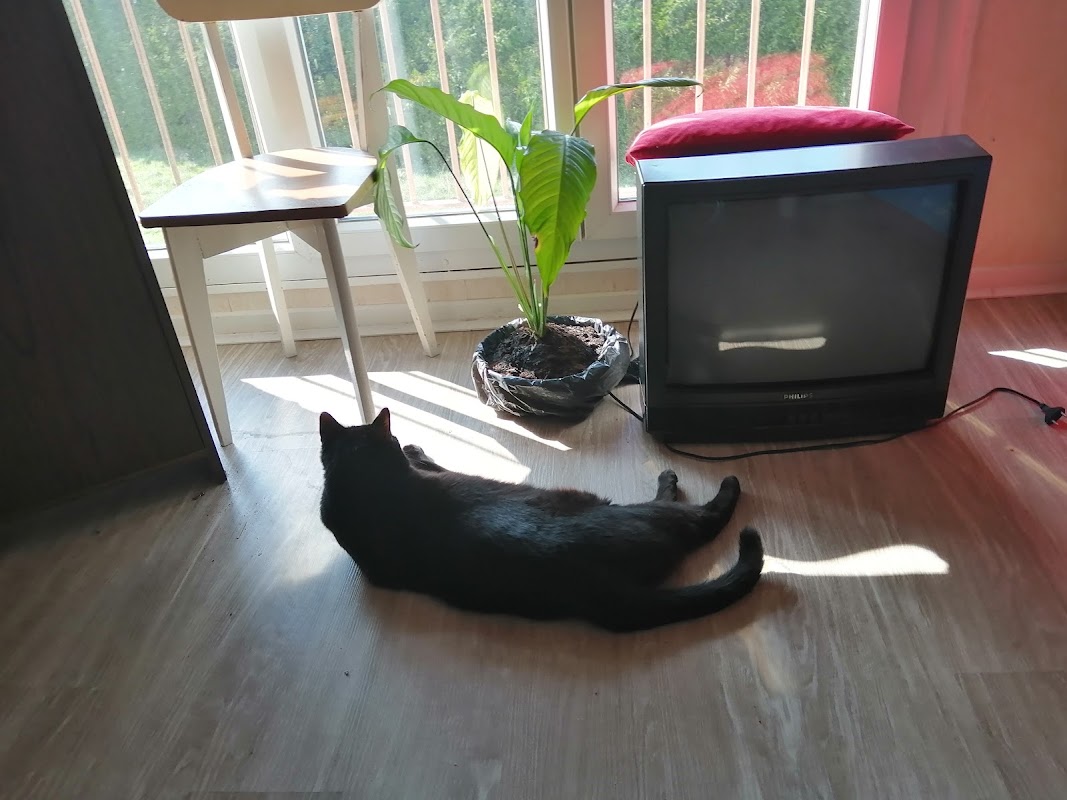 Résidence bellevue - Photo 4 sur 4 - Espaces de vie