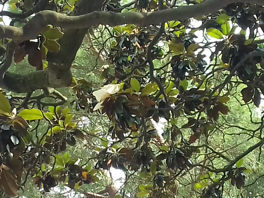 EHPAD Laurent Antoine - Photo 5 sur 5 - Environnement et extérieurs