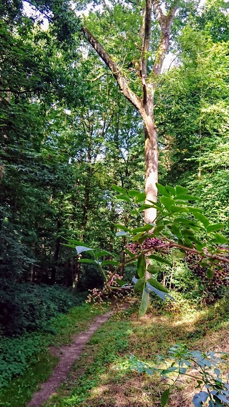 EHPAD Domart-en-Ponthieu - Photo 2 sur 4 - Intérieur et espaces communs