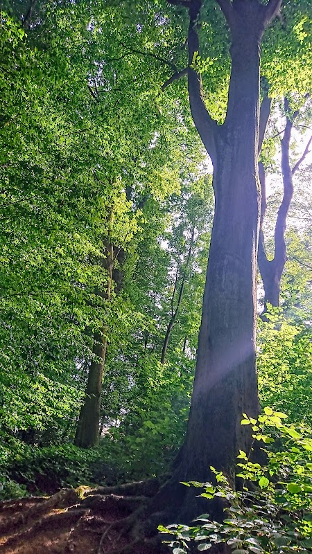 Photo de EHPAD Domart-en-Ponthieu, EHPAD à DOMART EN PONTHIEU