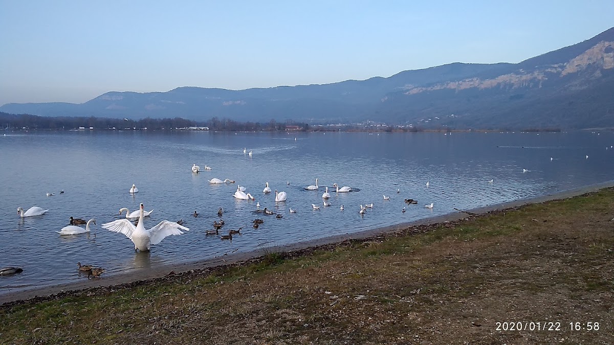 Photo de MARPA de Serrières de Briord, Résidence autonomie à SERRIERES DE BRIORD