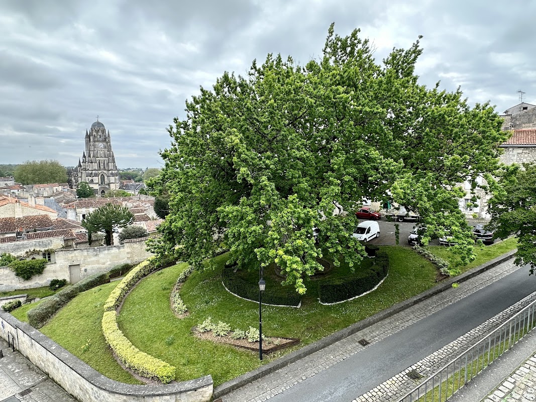 EHPAD La providence - Photo 4 sur 5 - Espaces de vie