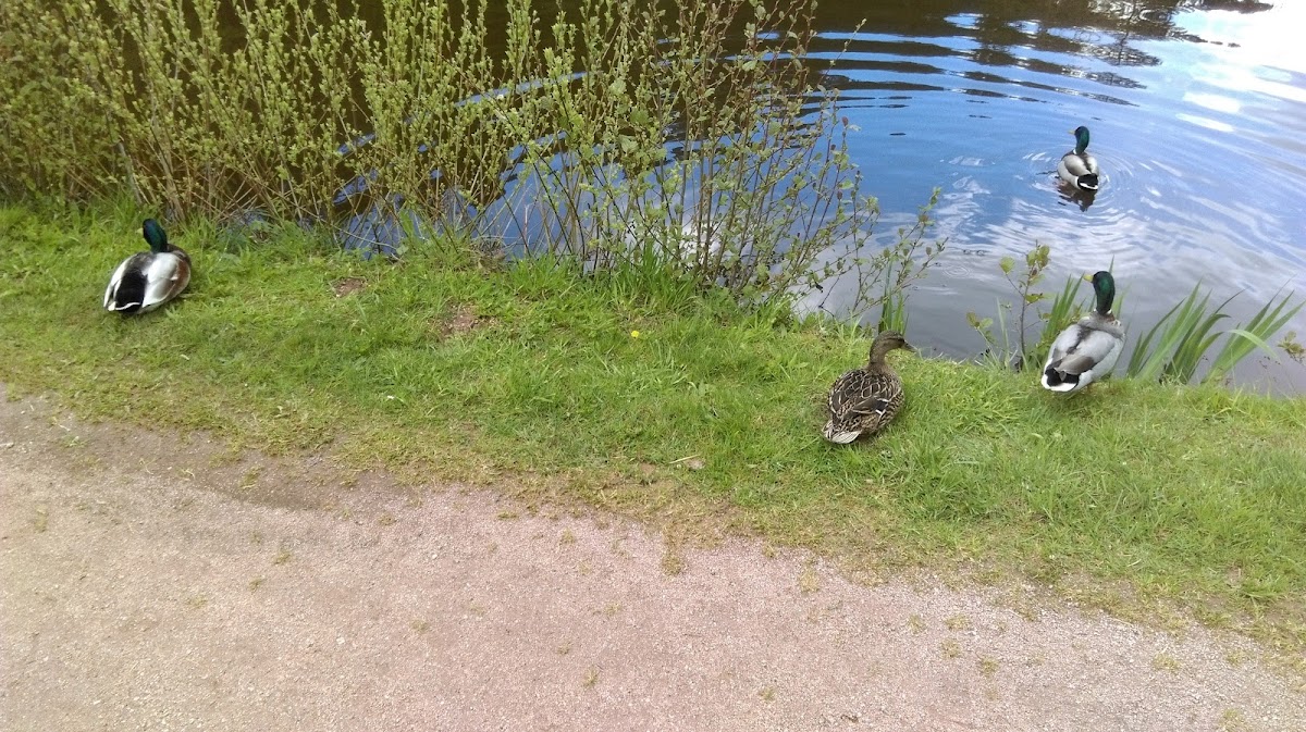 EHPAD Le Home du Cameroun - Photo 2 sur 5 - Intérieur et espaces communs