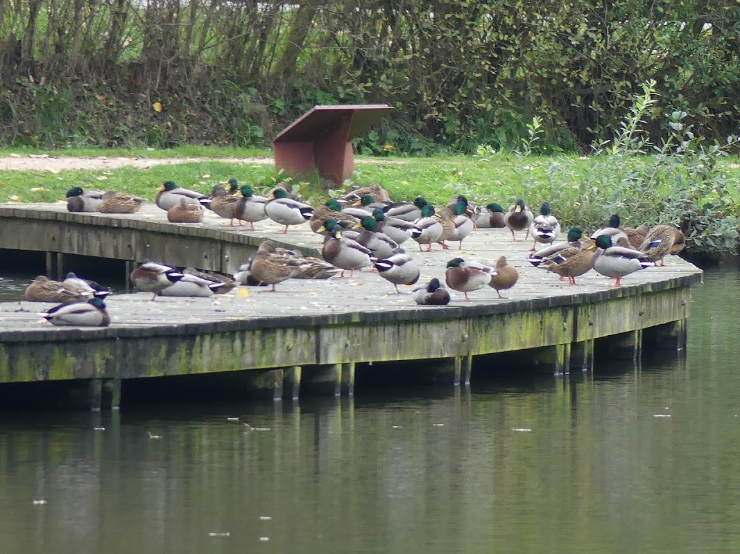 EHPAD Le Home du Cameroun