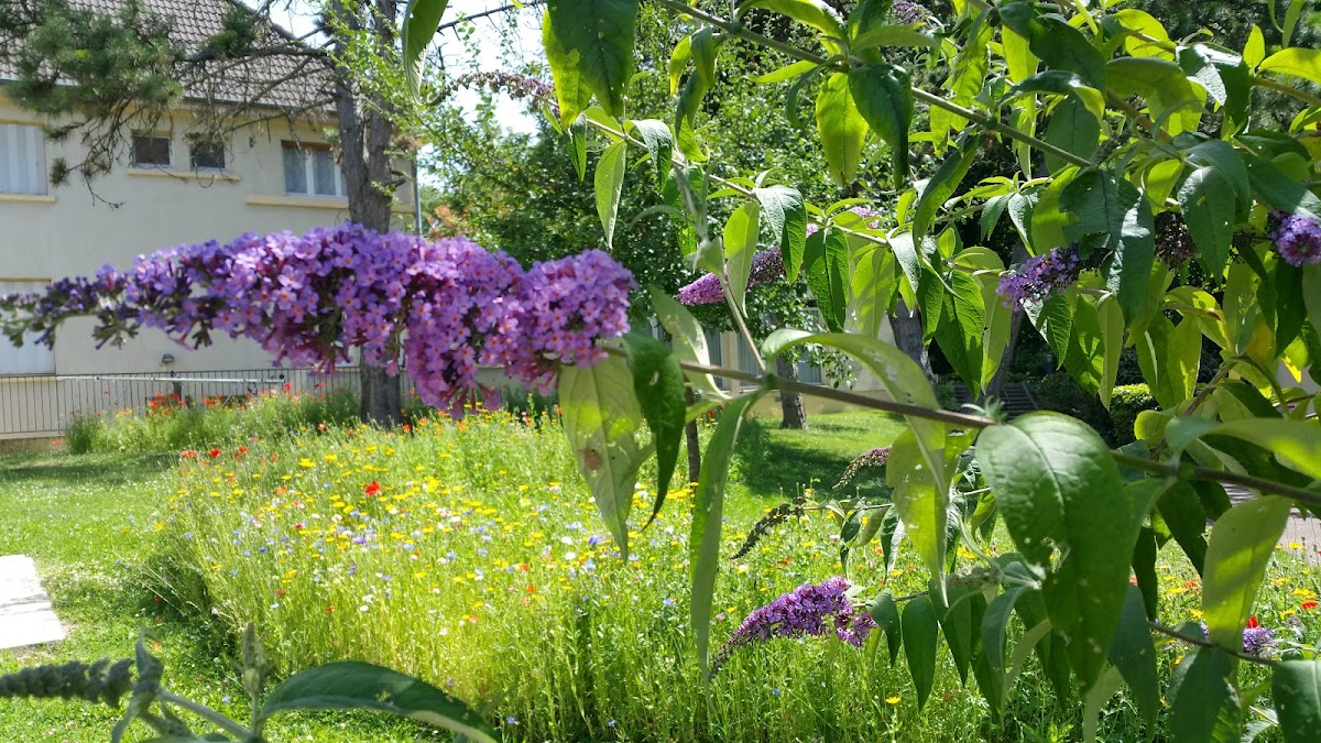 Foyer-Résidence Jean-Lebas restaurant Club - Photo 4 sur 5 - Espaces de vie