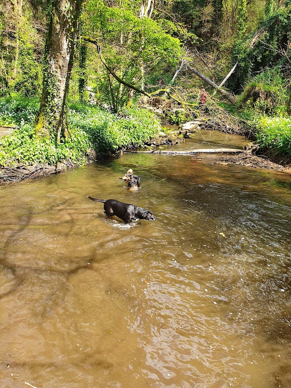 EHPAD de Ploumilliau - Photo 2 sur 5 - Intérieur et espaces communs