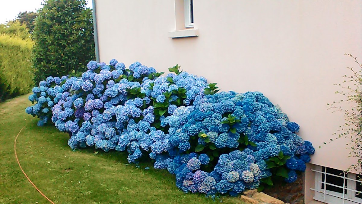 EHPAD de Ploumilliau - Photo 5 sur 5 - Environnement et extérieurs