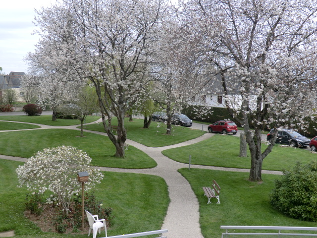 EHPAD Les Vergers - Photo 4 sur 5 - Espaces de vie