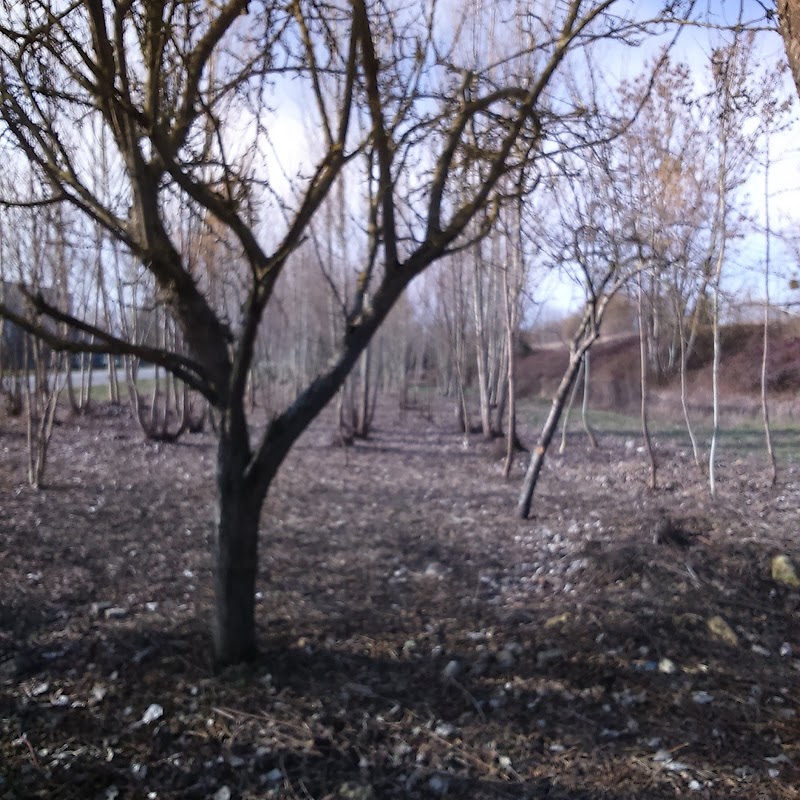 EHPAD Maison de retraite Écouché - Photo 5 sur 5 - Environnement et extérieurs