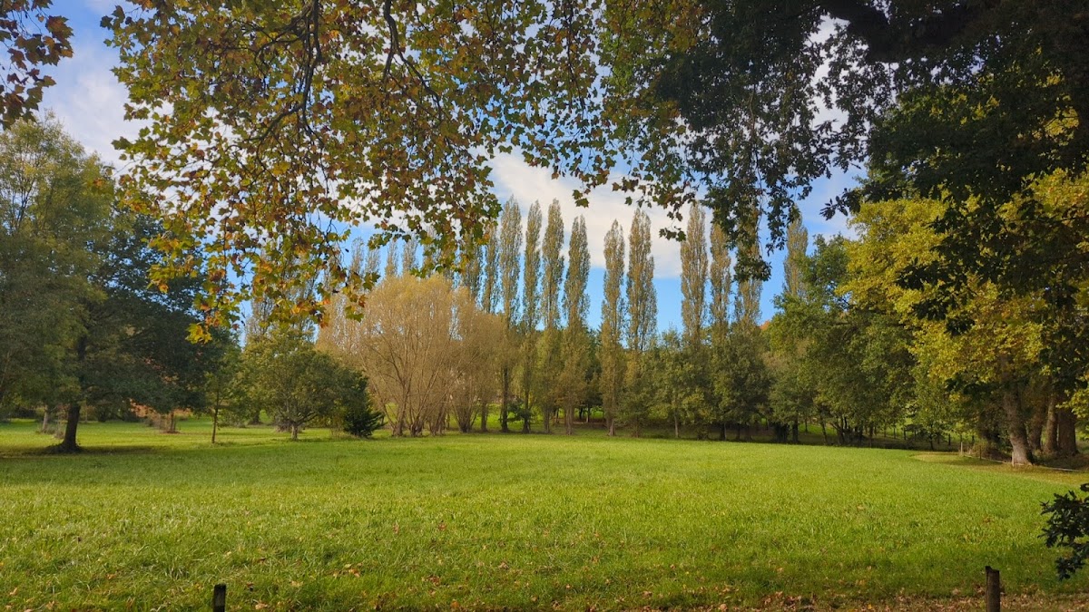 Résidence de l'Ille - Photo 5 sur 5 - Environnement et extérieurs