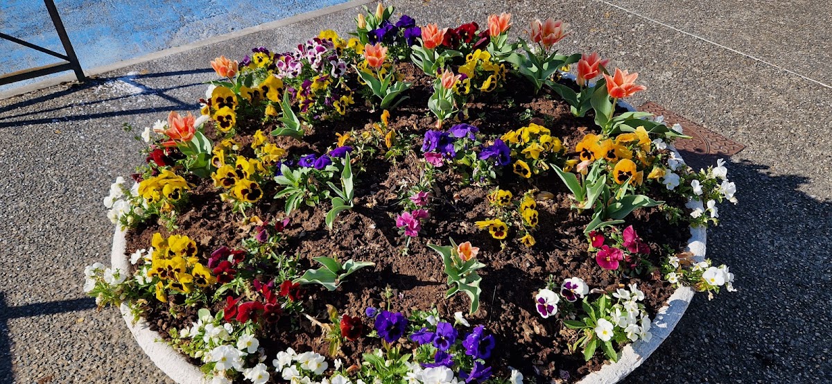 Groupe EDENIS EHPAD Résidence Mas Saint-Pierre - Photo 4 sur 5 - Espaces de vie