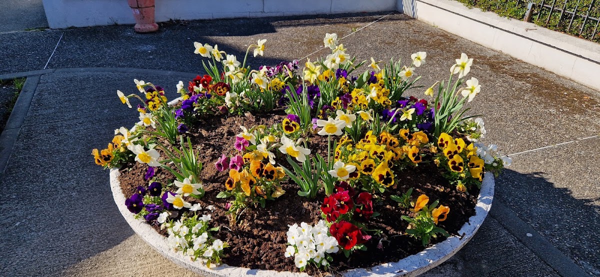 Groupe EDENIS EHPAD Résidence Mas Saint-Pierre - Photo 5 sur 5 - Environnement et extérieurs