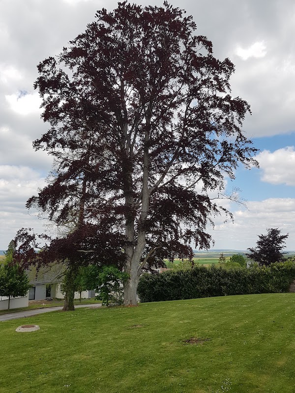 MARPA Les Sources - Photo 5 sur 5 - Environnement et extérieurs