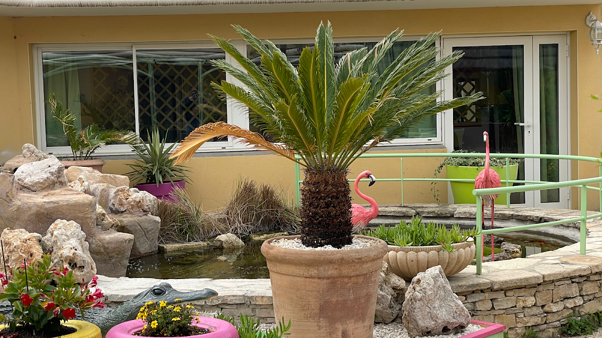 EHPAD Résidence Les Jardins de Flore - Photo 5 sur 5 - Environnement et extérieurs