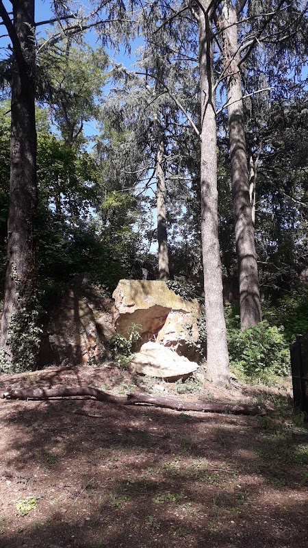 EHPAD La Sarrazinière - Photo 3 sur 4 - Chambres et hébergement