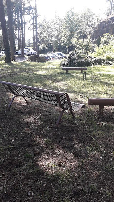 EHPAD La Sarrazinière - Photo 4 sur 4 - Espaces de vie