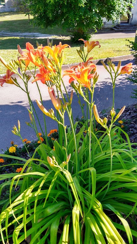 EHPAD Joséphine Normand - Photo 4 sur 5 - Espaces de vie