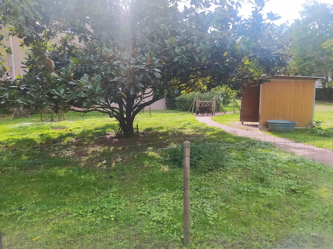 EHPAD Léon Maugé - Photo 2 sur 5 - Intérieur et espaces communs