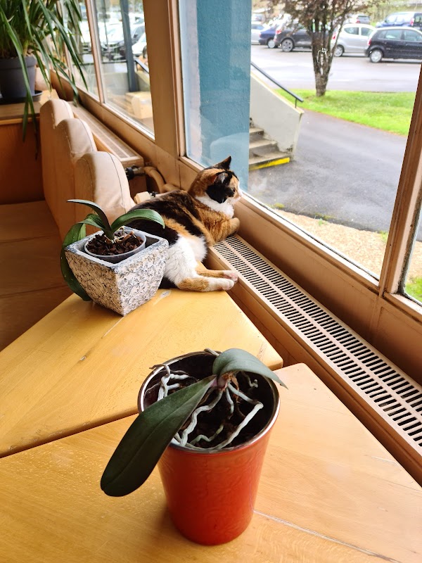 EHPAD Henri-Laclau - Photo 5 sur 5 - Environnement et extérieurs