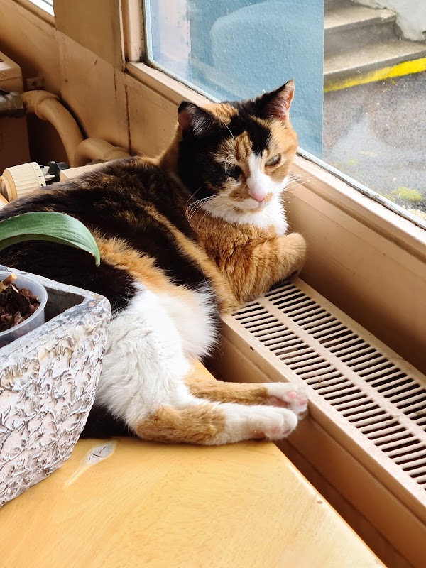 EHPAD Henri-Laclau - Photo 2 sur 5 - Intérieur et espaces communs