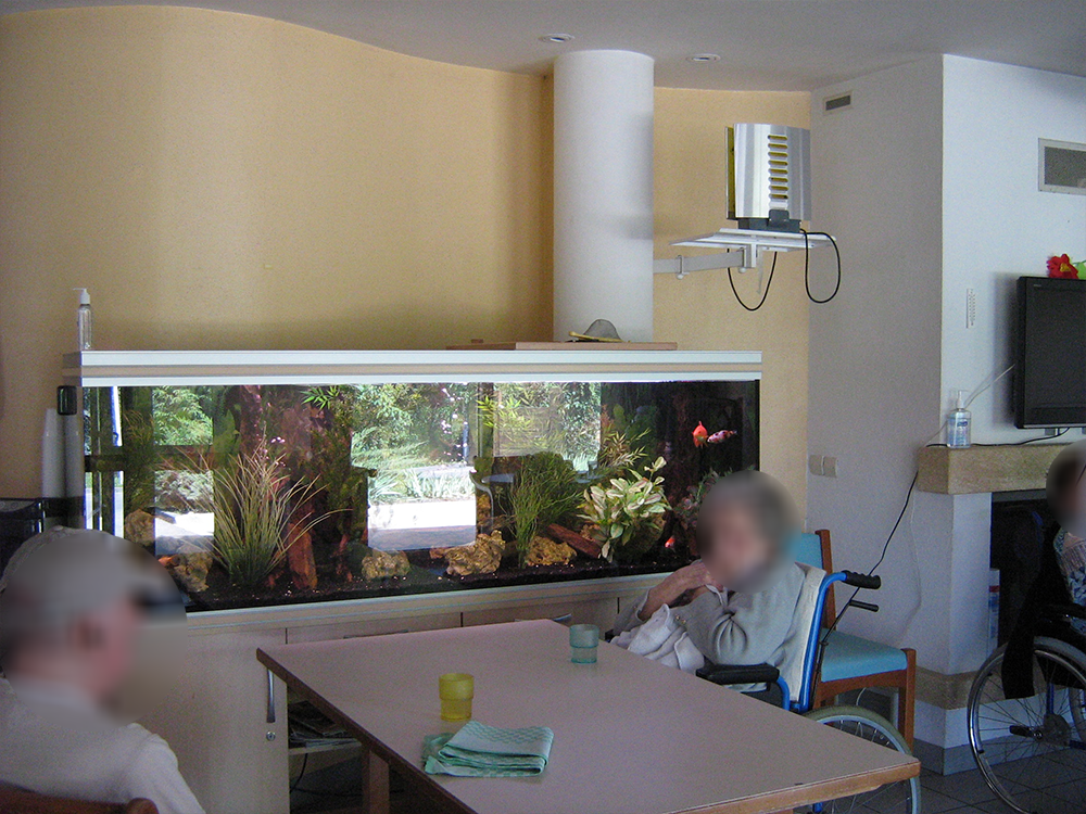 EHPAD Félix Pignal - Photo 3 sur 5 - Chambres et hébergement