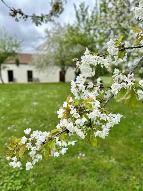 Puv - l'Age d'Or - Photo 4 sur 5 - Espaces de vie