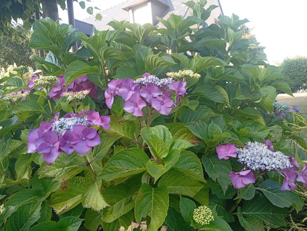 EHPAD Le Teilleul - Photo 3 sur 3 - Chambres et hébergement