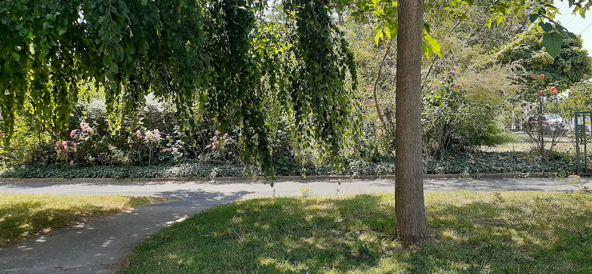 Résidence Yvonne de Gaulle - Photo 5 sur 5 - Environnement et extérieurs