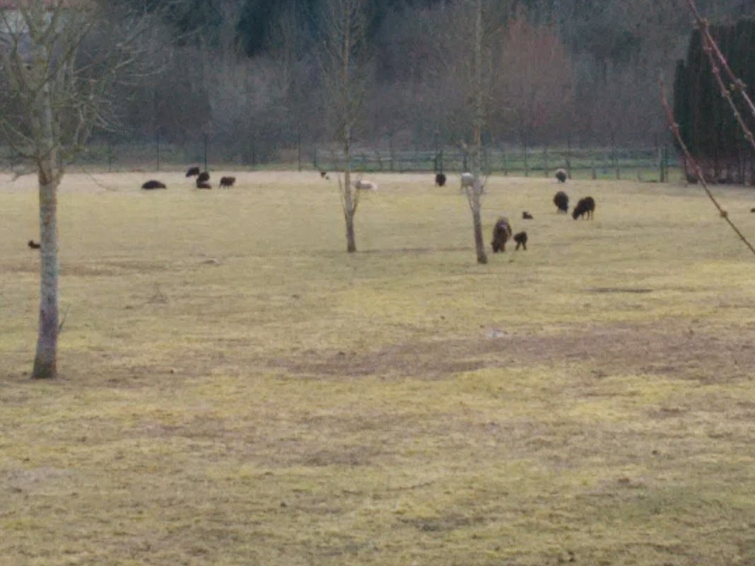 USLD du Ccntre hospitalier spécialisé de Fains-Véel - Photo principale
