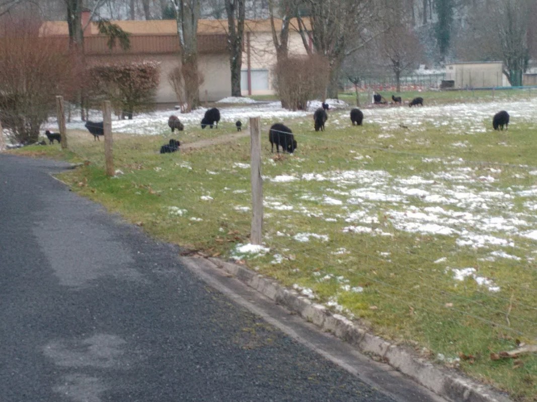 USLD du Ccntre hospitalier spécialisé de Fains-Véel - Photo 4 sur 5 - Espaces de vie