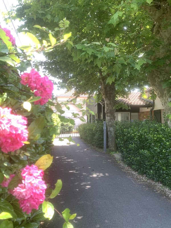 EHPAD Les Érables - Photo 2 sur 3 - Intérieur et espaces communs