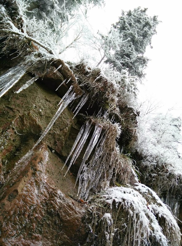 MAISON DE RETRAITE DE PLAINE - Photo 2 sur 5 - Intérieur et espaces communs