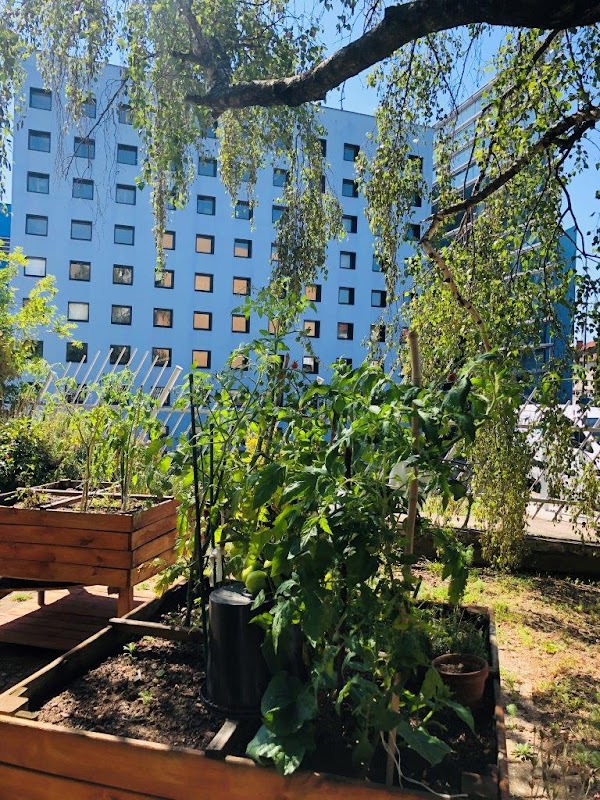 Résidence Le Pary - Photo 5 sur 5 - Environnement et extérieurs