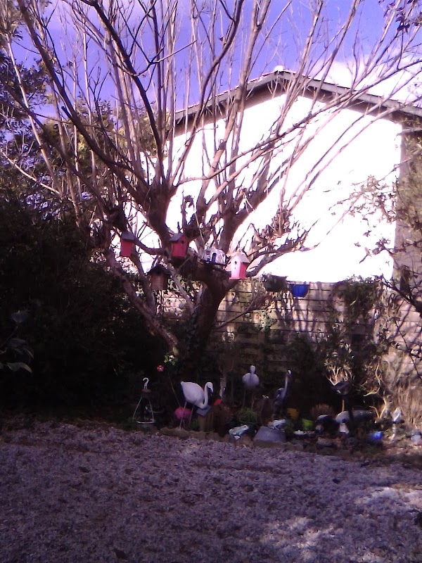 Résidence autonomie Les chênes verts - Photo 5 sur 5 - Environnement et extérieurs