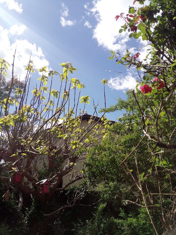 Résidence autonomie Les chênes verts - Photo 4 sur 5 - Espaces de vie