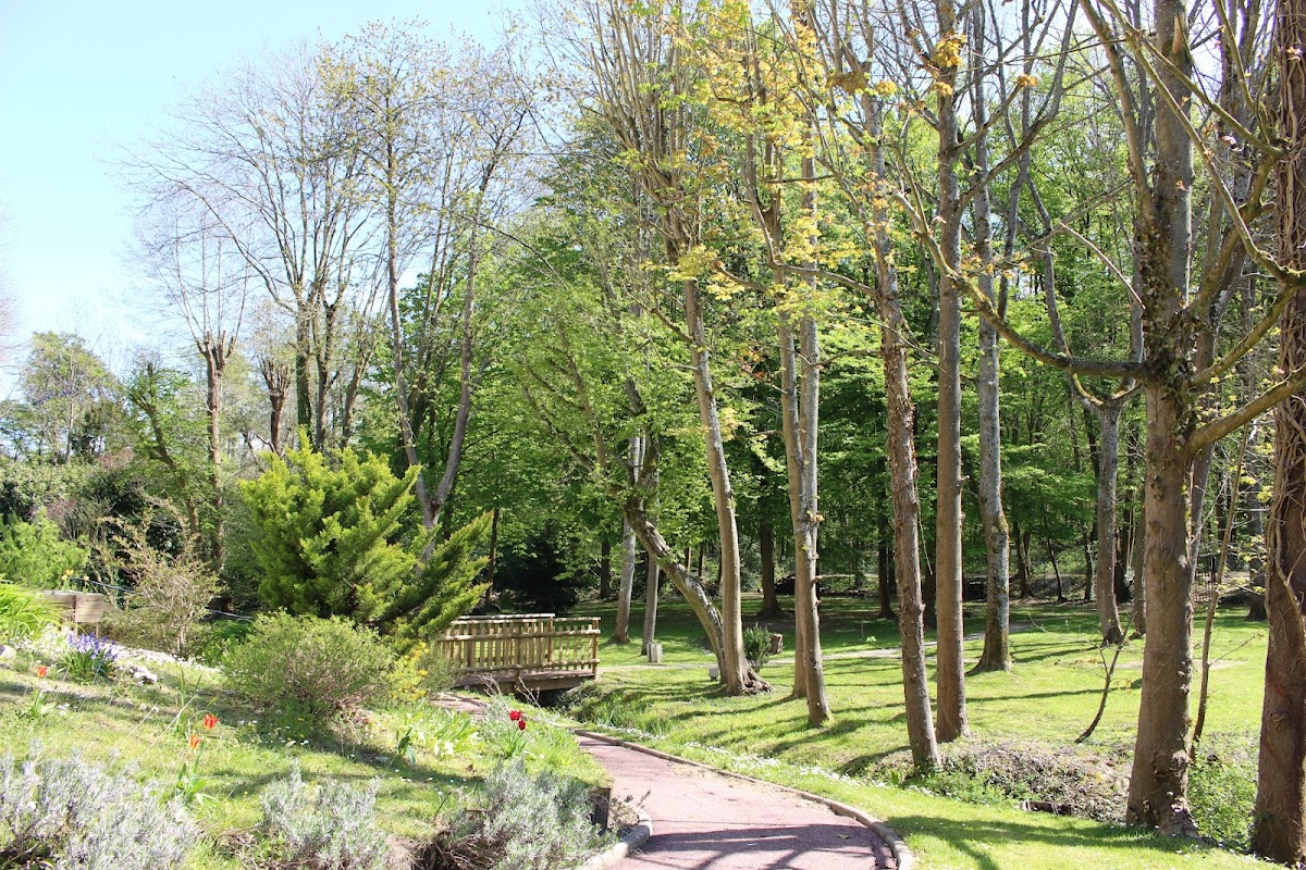Foyer-Logement Communal Les-sapins-bleus - Photo 4 sur 5 - Espaces de vie