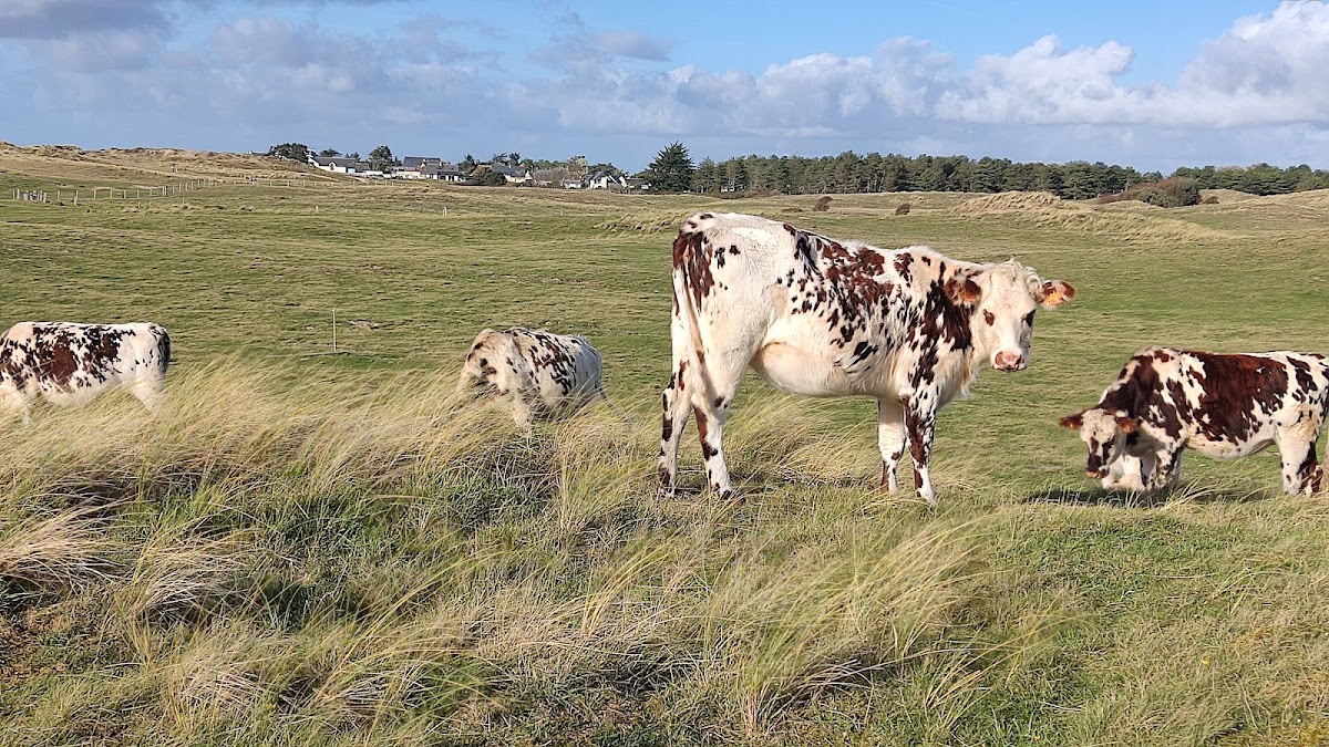 EHPAD Les Dunes - Photo 5 sur 5 - Environnement et extérieurs